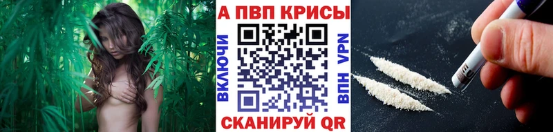 kraken ТОР Болгар Alpha-PVP крисы CK