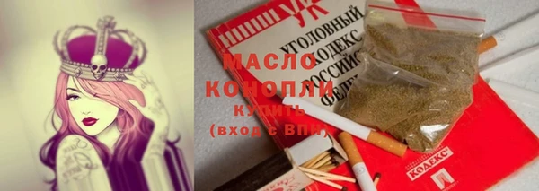 гашик Алексеевка