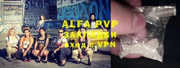 гашик Алексеевка
