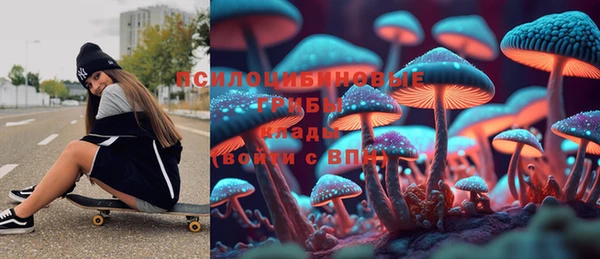 сатива Алексин
