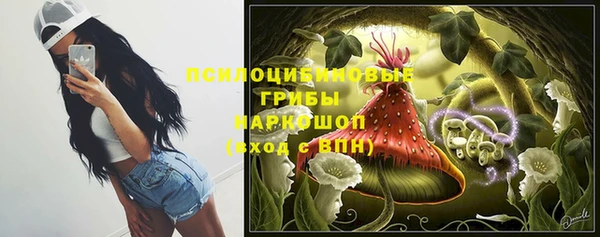 сатива Алексин