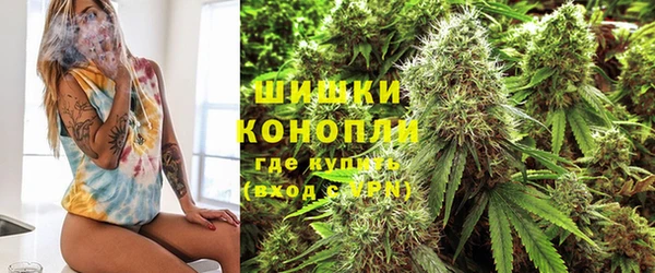 сатива Алексин