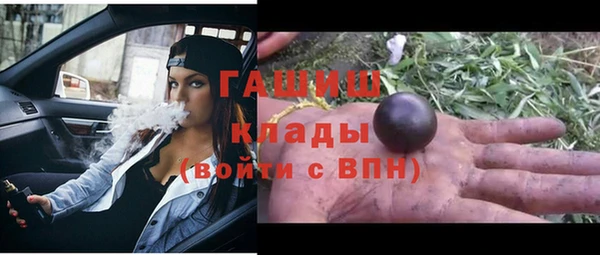 гашик Алексеевка