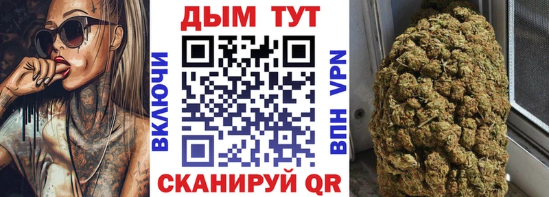 Каннабис конопля Болгар